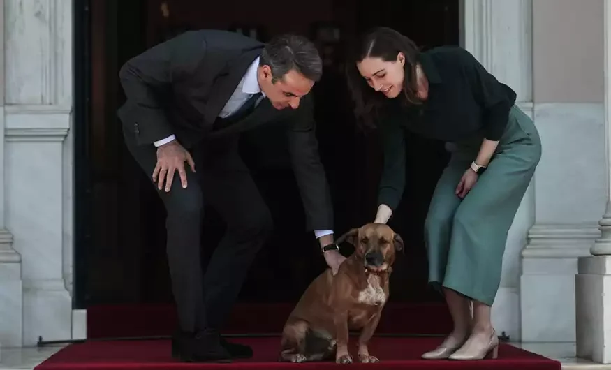 Ο Πίνατ και η μετωπική με το αυτονόητο