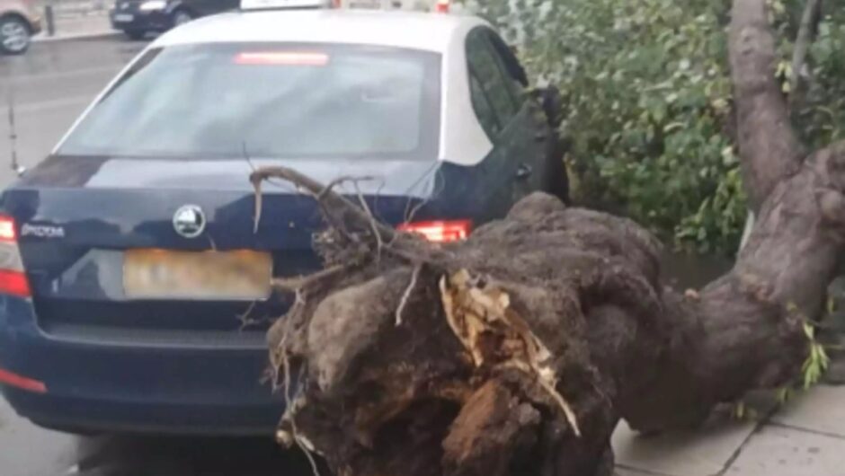 Θεσσαλονίκη: Μόλις μπήκαν σε ταξί έπεσε πάνω του δέντρο – Ξεριζώθηκε από ανέμους