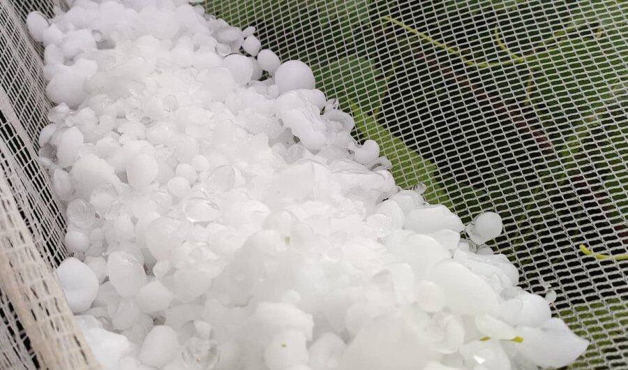 «Τόσο χαλάζι δεν είδαμε εδώ και 50 χρόνια…» – Ανυπολόγιστες ζημιές σε Π.Ε. Λάρισας και Θεσσαλία (βίντεο)