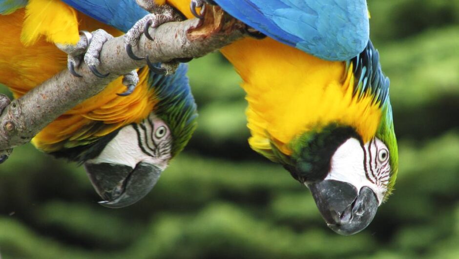 Σκάνδαλο Novartis / Χυδαία συγκάλυψη – Τα φιλοκυβερνητικά ΜΜΕ «θάβουν» το φιάσκο της «σκευωρίας»