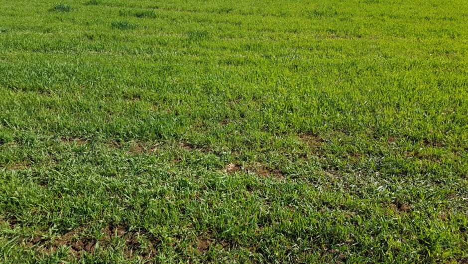 Διεύθυνση Πολιτικής Γης Περιφέρειας Θεσσαλίας: Δημοπρασίες 11 αγροτικών τεμαχίων από αναδασμό