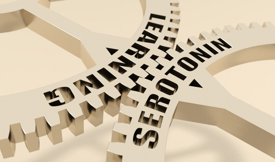 Νέα έρευνα καταρρίπτει όσα γνωρίζαμε για τη σχέση σεροτονίνης και κατάθλιψης