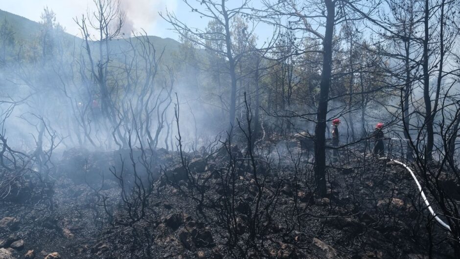 Στάχτη 50.000 στρέμματα μέσα σε πέντε μέρες – Τραγική η εικόνα από τους δορυφόρους
