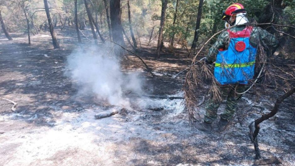 Μαίνεται για έβδομη μέρα η καταστροφική πυρκαγιά στη Δαδιά – Στάχτη πάνω από 34.000 στρέμματα