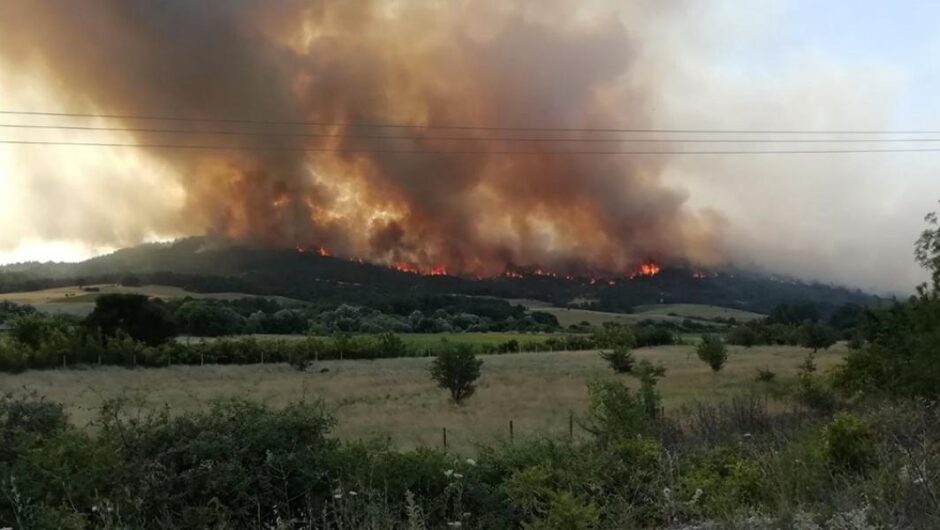 Εγκλημα εκ προμελέτης