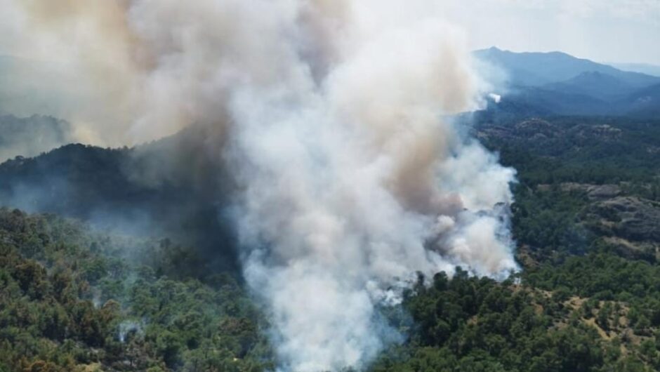 Φωτιά στον Έβρο / Μεγάλη καταστροφή στο δάσος Natura της Δαδιάς