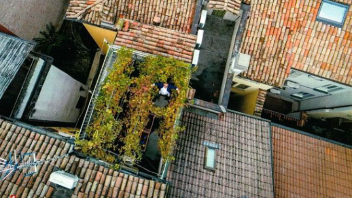 Ο μικρότερος «εκκεντρικός» αμπελώνας του κόσμου σε ταράτσα την Βόρεια Ιταλία