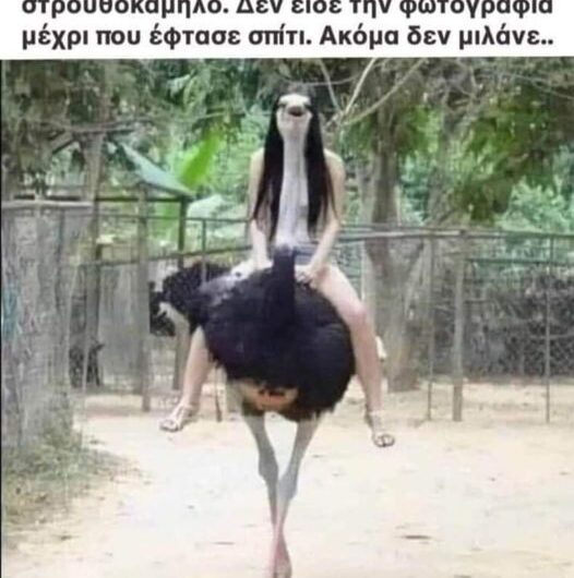 Ωραίος φωτογράφος….