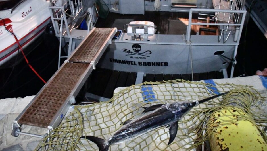 Ψάρευαν μικρούς ξιφίες μέσα στο θαλάσσιο πάρκο Αλοννήσου!