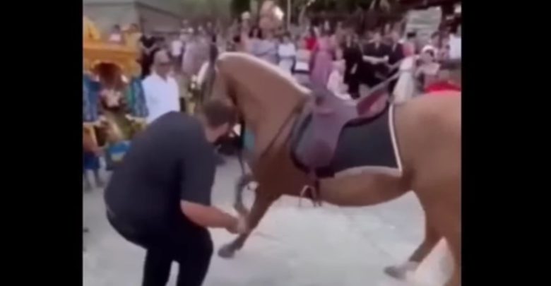 Χαμός με αντιδράσεις στον Τύρναβο: “Ανάγκασαν άλογα με το στανιό να… προσκυνήσουν την εικόνα της Αγίας Παρασκευής (βίντεο)