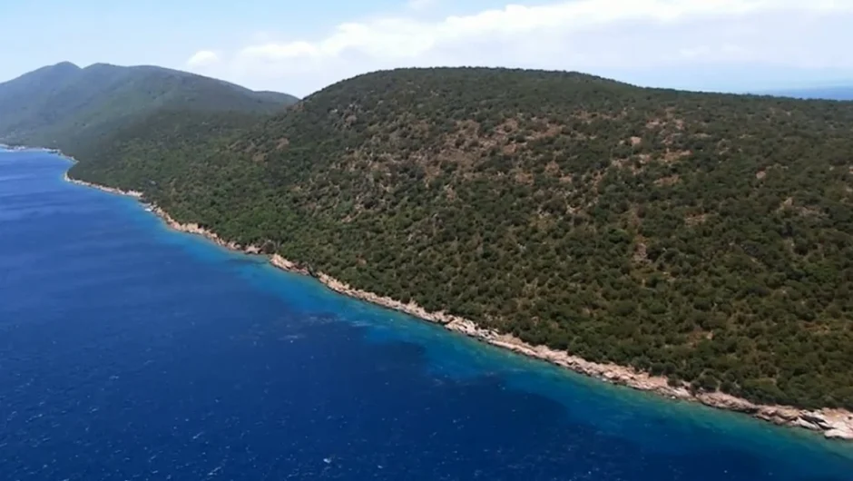 Κάλυμνος: Γυναίκα βγάζει στο… «σφυρί» τουρκική νησίδα ανοιχτά της Αλικαρνασσού