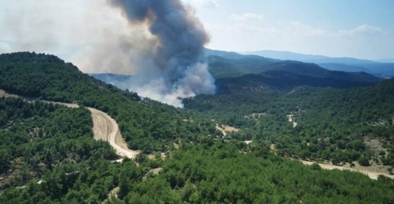 Κεραυνός προκάλεσε φωτιά σε δασική έκταση της Αλοννήσου