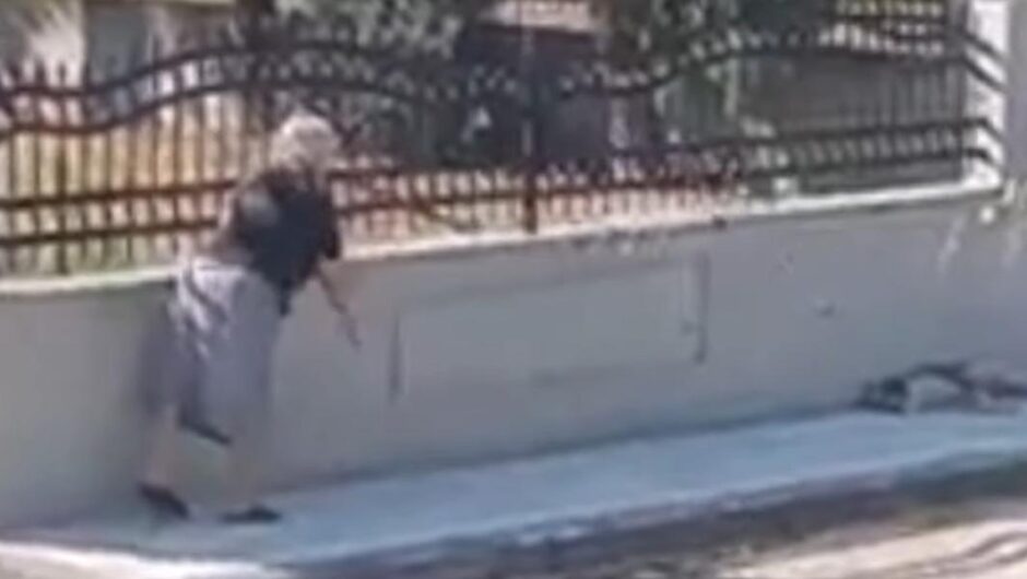 Θεσσαλονίκη / Σάλος από βίντεο που δείχνει ηλικιωμένη να πετά μαγκούρα σε σκύλο