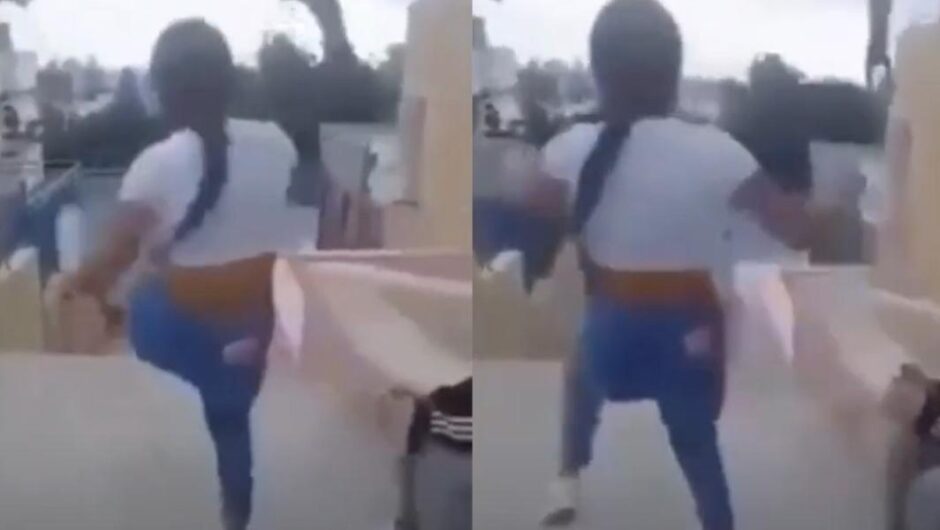 Ρέθυμνο / Πρόστιμο 5.000 ευρώ στη μαθήτρια που κλώτσησε γάτα