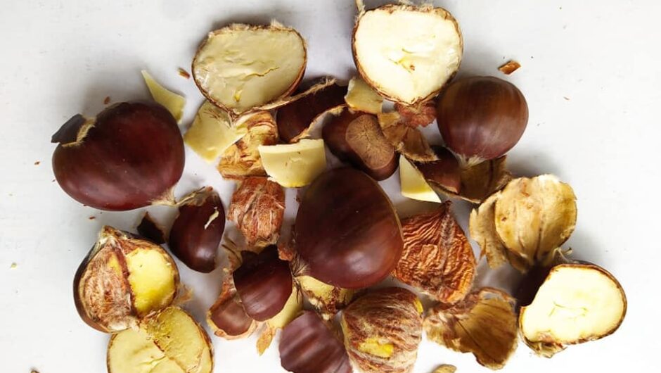 Αγιά Λάρισας: Μεγάλα προβλήματα στις καστανοκαλλιέργειες από την εμφάνιση μύκητα