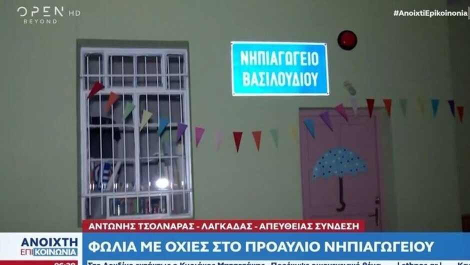 Λαγκαδάς: Φωλιά με οχιές μέσα σε νηπιαγωγείο