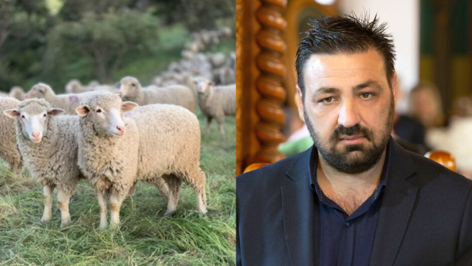 Γιάννης Γκουρομπίνος: «Μειώνονται τα κοπάδια- Η χώρα θα έχει μεγάλο διατροφικό πρόβλημα»