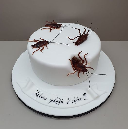 Στην Κόρινθο ένας ζαχαροπλάστης κάνει θραύση με την «τούρτα με γέμιση κατσαρίδες»