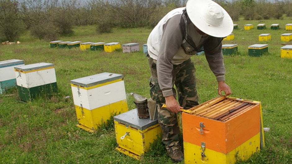 Αλλαγές στους επιτόπιους ελέχους για την επιλεξιμότητα στη Βιολογική Μελισσοκομία