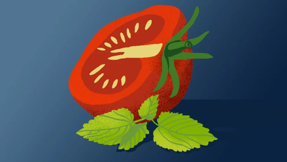 ΠΕΡΙΟΡΙΣΕ ΤΗ ΓΑΣΤΡΟΟΙΣΟΦΑΓΙΚΗ ΠΑΛΙΝΔΡΟΜΗΣΗ ΧΩΡΙΣ ΦΑΡΜΑΚΑ