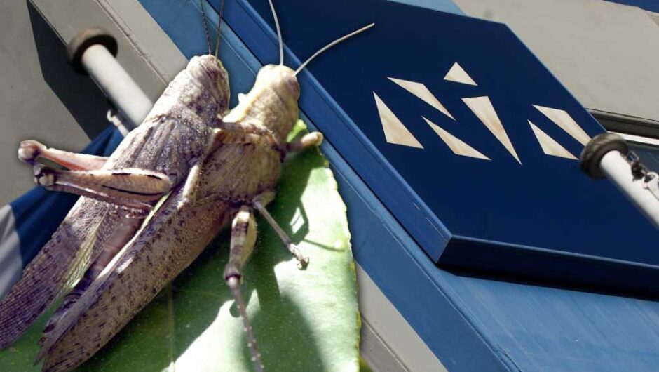 Διώξτε τις «γαλάζιες ακρίδες»
