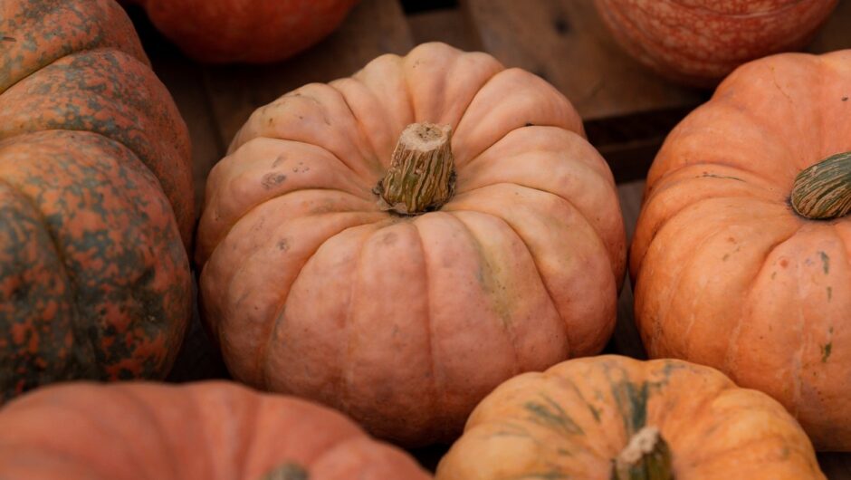 Κολοκύθα: H συνταγή για μία πανεύκολη μάσκα μαλλιών