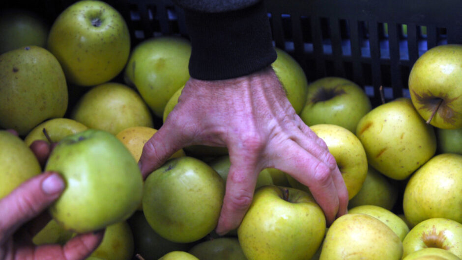 Πανελλαδική κινητοποίηση μηλοπαραγωγών αύριο Τρίτη