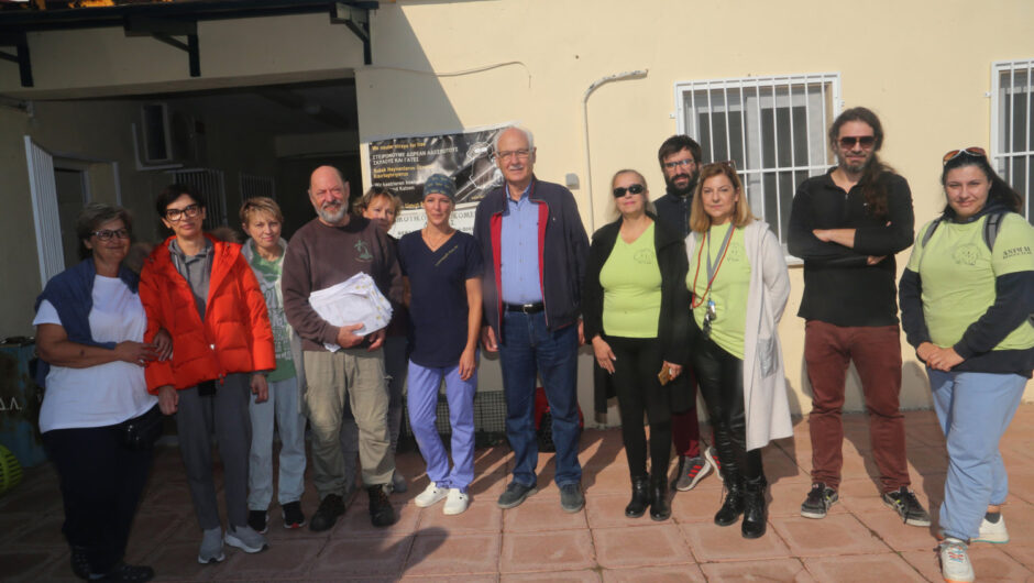 Στειρώθηκαν 400 ζώα στο Δημοτικό Κυνοκομειο Λάρισας