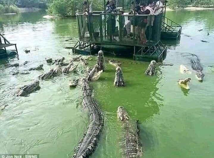 Η γυναίκα του χαμογέλασε…