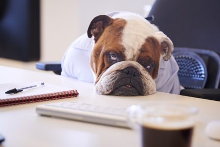 ΤΙ ΘΑ ΣΟΥ ΔΩΣΕΙ «ΤΟΝΩΣΗ» ΜΕΣΑ ΣΤΗ ΜΕΡΑ ΧΩΡΙΣ ΝΑ ΠΙΕΙΣ ΚΑΦΕ