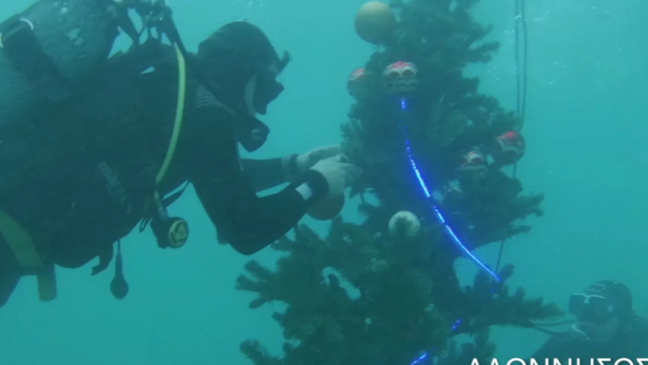 Στην Αλόννησο στόλισαν χριστουγεννιάτικο δέντρο στον βυθό, με μπάλες και φωτάκια (βίντεο)