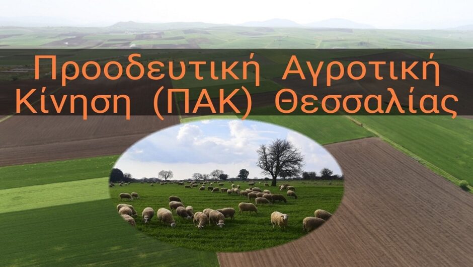 Δράσεις και δραστηριότητες της ΠΑΚ Θεσσαλίας στον έναν χρόνο παρουσίας της