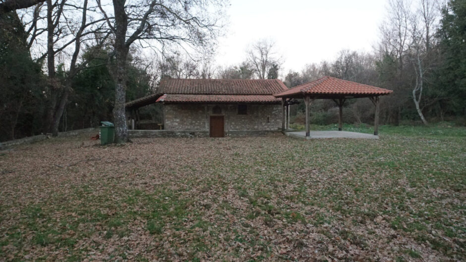 Ώρα ανάδειξης του Δάσους Πολυδενδρίου… Ένα ξέφωτο δείχνει τον δρόμο (φωτ.)