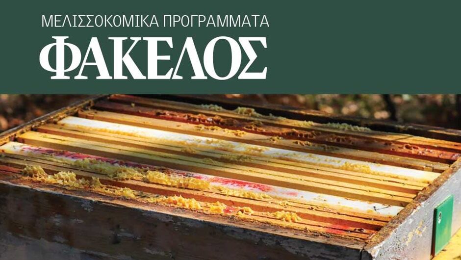 Δύο προκηρύξεις αγοράς κυψελών, εξοπλισμού στα νέα 5ετή μελισσοκομικά