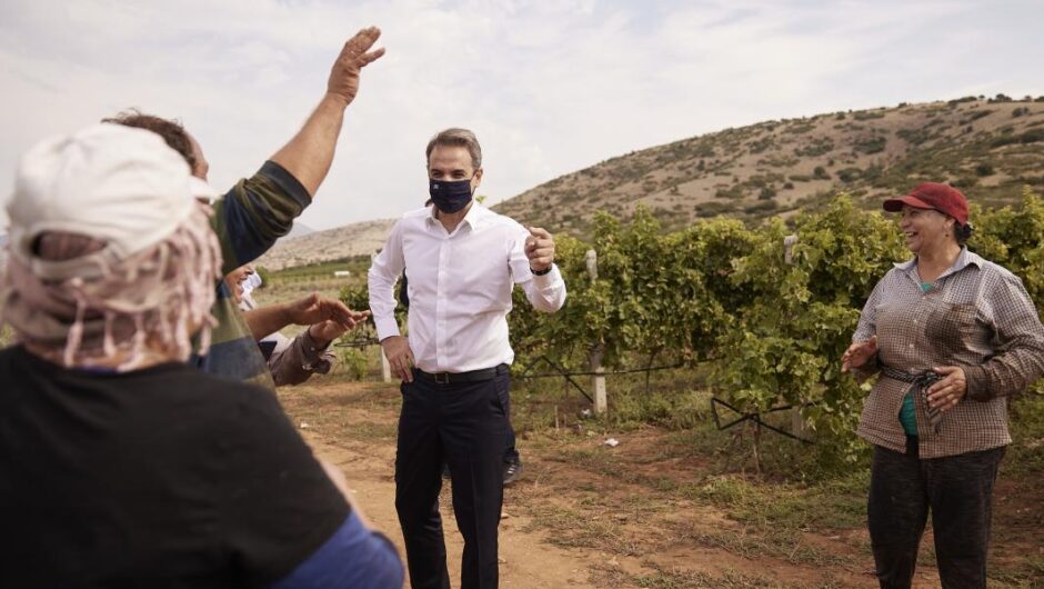 Κυριάκος Μητσοτάκης / Ο ελαιοπαραγωγός πρωθυπουργός βάζει χέρι στους αγρότες