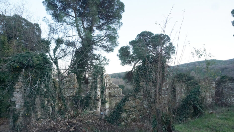 Αυτό είναι το σχέδιο για την αξιοποίηση των πρώην βασιλικών κτημάτων στο Πολυδένδρι – Η πρόταση του Δ. Αγιάς