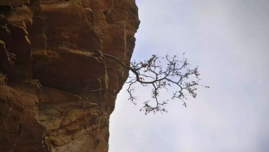 Καβάλα: Αυτοκίνητο άρχισε να κυλάει σε γκρεμό στο ραντεβού νεαρού ζευγαριού σε απόμερο σημείο