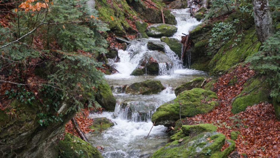 Μαγεύουν οι εικόνες από τους… καταρράκτες του Κισσάβου (φωτ.)