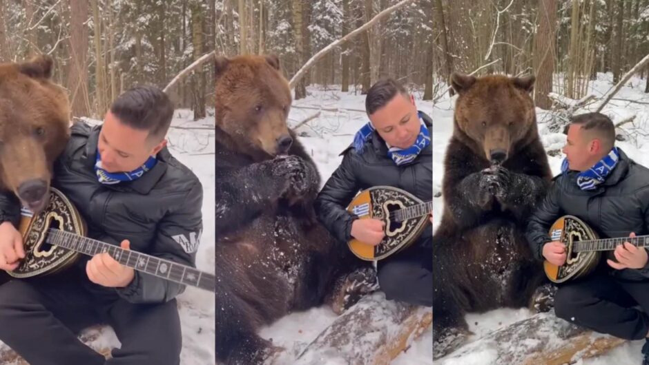 Απίστευτο βίντεο: Λαρισαίος γίνεται viral παίζοντας μπουζούκι στα χιόνια με μια αρκούδα τον… λιγουρεύεται