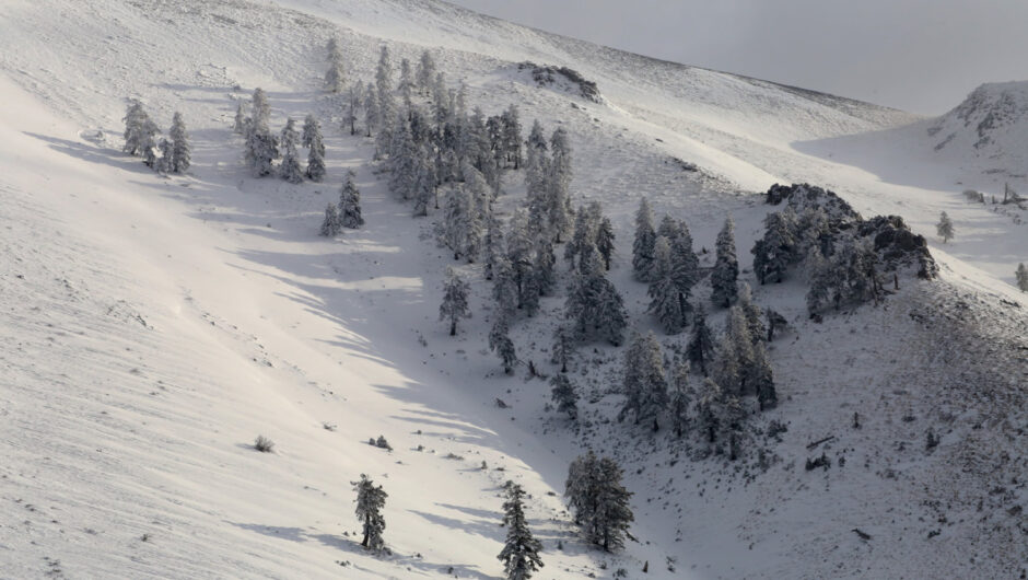 Βόλτα στον χιονισμένο Κίσσαβο (φωτ. & βίντεο)