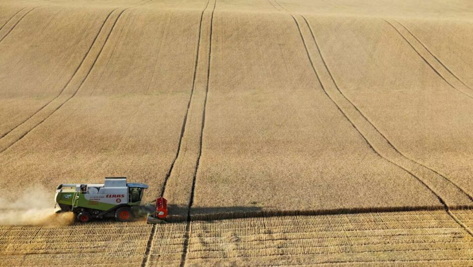 Τρίπολη: Αγρότης δίνει τζάμπα τα χωράφια του και δεν τα παίρνει κανείς