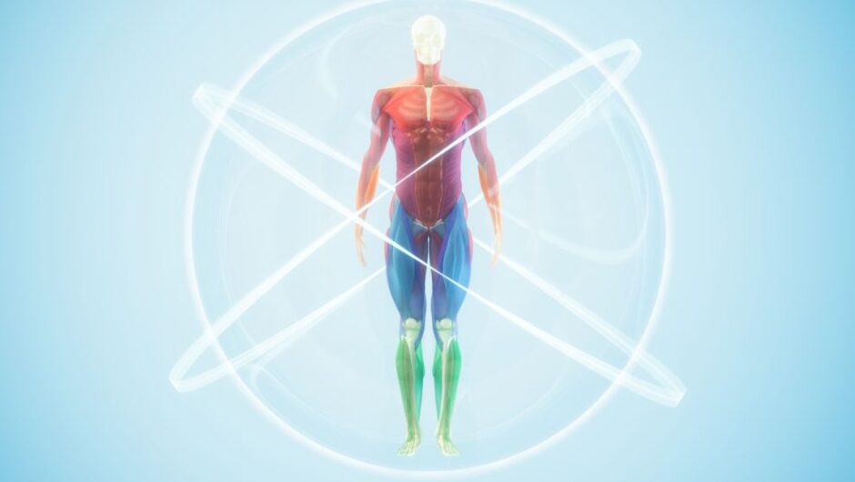 Ποιο είναι το πιο άχρηστο κομμάτι του ανθρώπινου σώματος