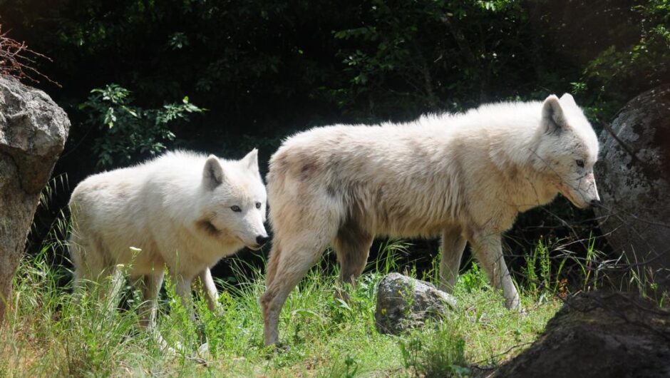 Δουλευόμαστε;