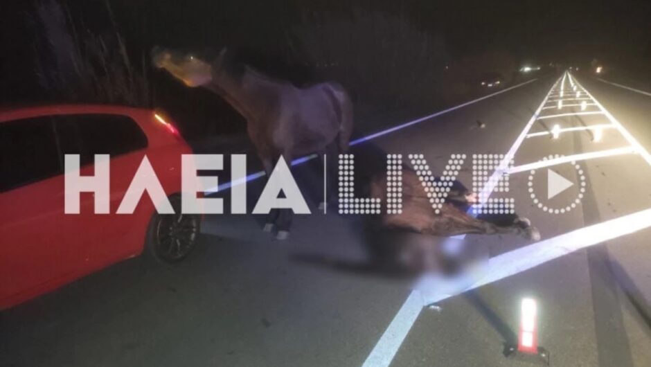 Πύργος: Σοβαρό τροχαίο με θύμα ένα άλογο