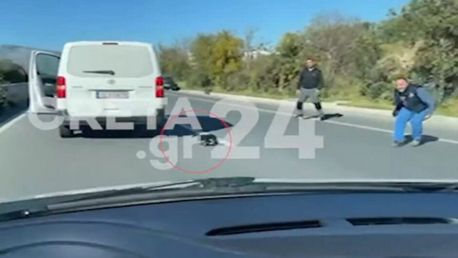 Ηράκλειο: Η στιγμή που οδηγοί σώζουν σκυλάκι που έτρεχε τρομαγμένο στον ΒΟΑΚ