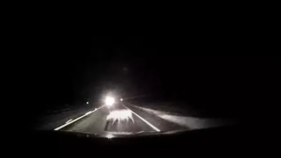 Video-σοκ από σφοδρή σύγκρουση με αγριογούρουνο