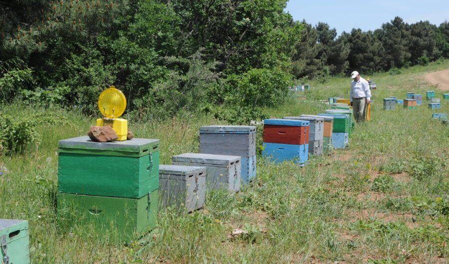 Παρεμβάσεις για τη νοθεία στο μέλι- Νέα πλατφόρμα «e-honey»