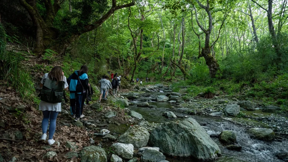 Σκήτη, Μελιβοία, Πολυδένδρι, Σωτηρίτσα, Καρίτσα: Στην πιο πράσινη μεριά του Κισσάβου