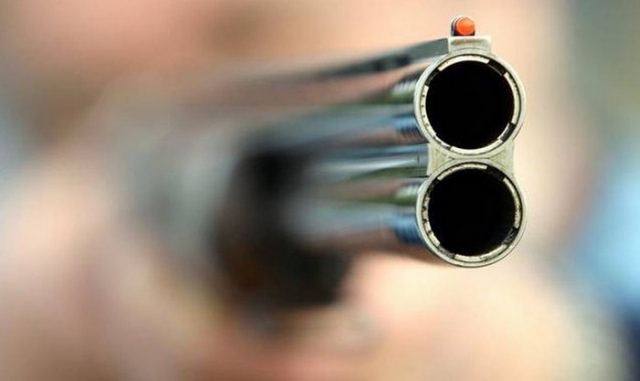 Πυροβόλησαν εξ επαφής με καραμπίνα αδέσποτη σκυλίτσα στον Αμπελώνα