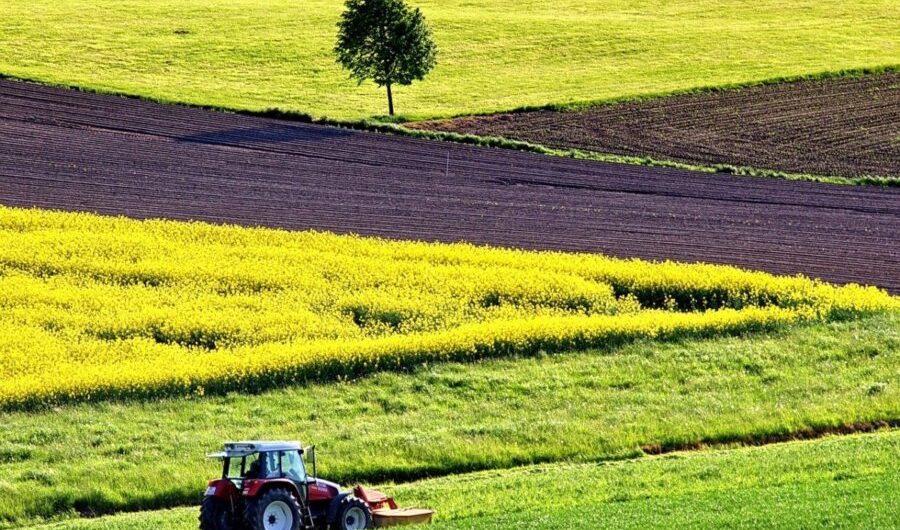 ΚΑΠ: Όλες οι πηγές χρηματοδότησης για τους αγρότες